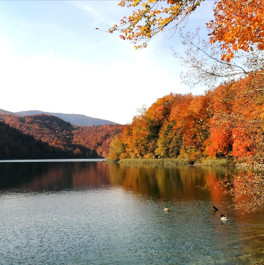 Plitvice Konak Daic Plitvička Jezera Buitenkant foto